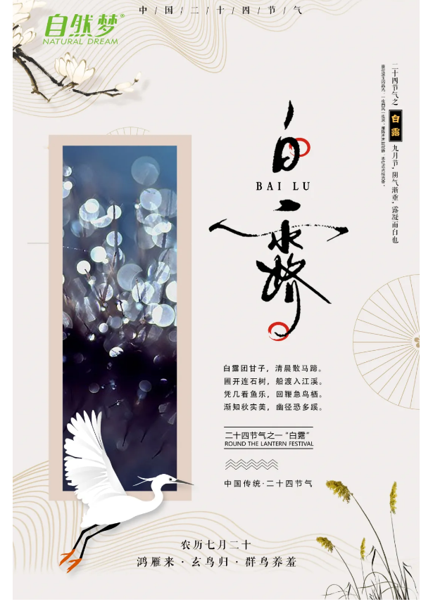 蘑菇免费视频床垫